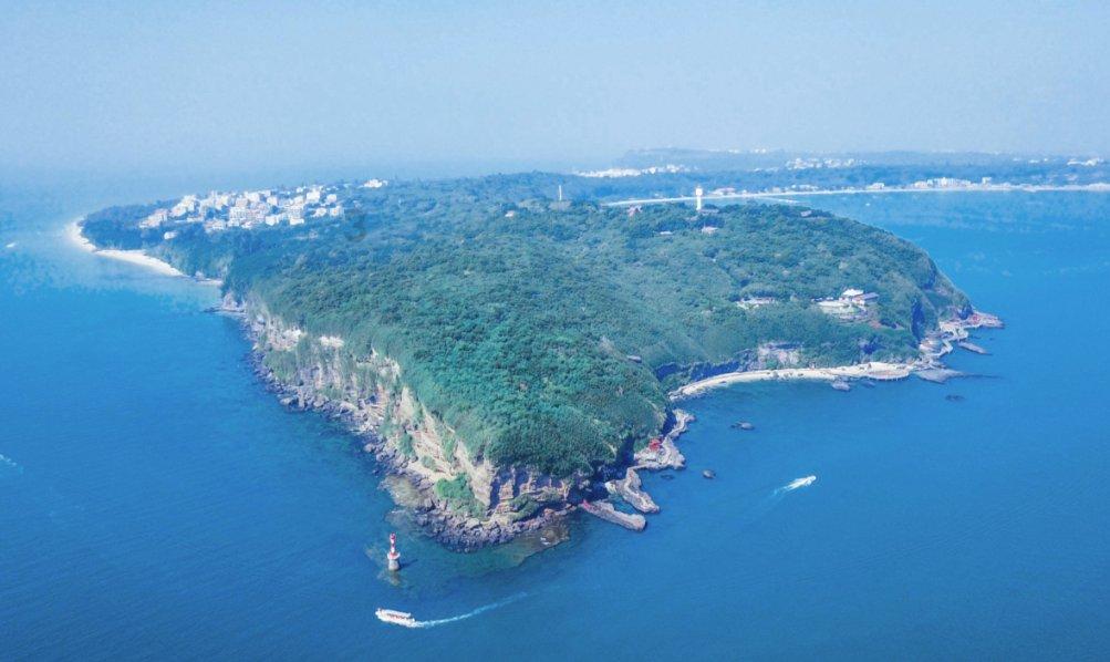 拯救蓝色小鸟